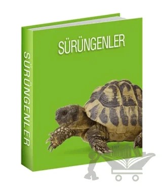 Sürüngenler – Kolektif – Koleksiyon Yayıncılık kitap kapağı