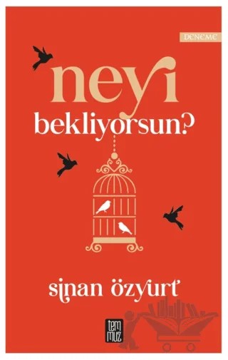 Neyi Bekliyorsun? – Sinan Özyurt – Temmuz Yayınları kitap kapağı
