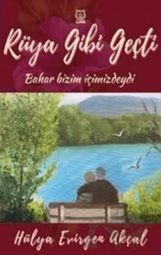 Rüya Gibi Geçti – Hülya Evirgen Akçal – Luna Yayınları kitap kapağı