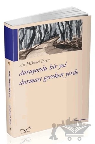 Duruyordu Bir Yol Durması Gereken Yerde – Ali Hikmet Eren – Medakitap Yayınları kitap kapağı