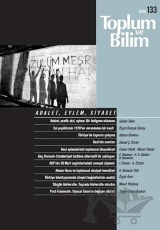 Toplum ve Bilim Sayı: 133 – Birikim Yayınları kitap kapağı