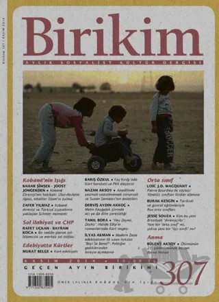 Birikim Aylık Sosyalist Kültür Dergisi Sayı: 307 – Birikim Yayınları kitap kapağı