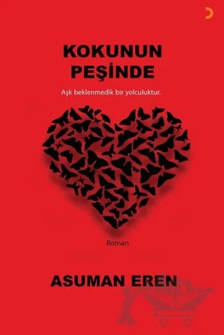Kokunun Peşinde – Asuman Eren – Cinius Yayınları kitap kapağı