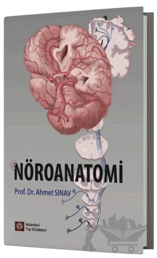 Nöroanatomi – Ahmet Sınav – İstanbul Tıp Kitabevi kitap kapağı