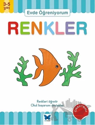 Evde Öğreniyorum - Renkler – Jenny Ackland – Mavi Kelebek Yayınları kitap kapağı