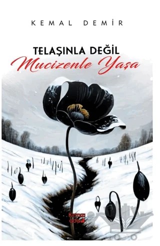 Telaşınla Değil Mucizenle Yaşa – Kemal Demir – Kırmızı Ada Yayınları kitap kapağı