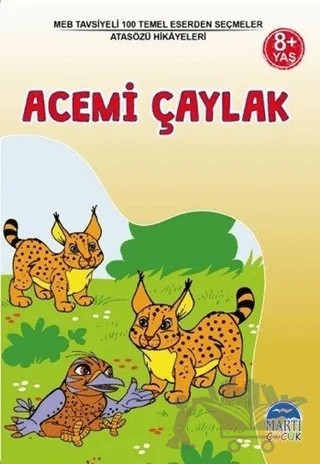 Acemi Çaylak – Kolektif – Martı Çocuk Yayınları kitap kapağı