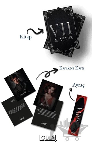 Varis – Merve Akyüz – Lolla Yayınları kitap kapağı