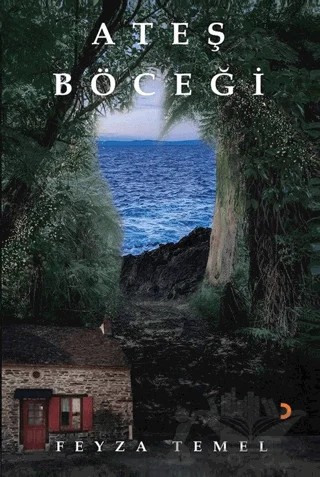 Ateş Böceği – Feyza Temel – Cinius Yayınları kitap kapağı