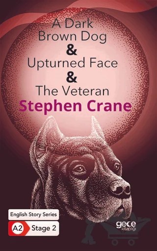 A Dark Brown Dog - Upturned Face - The Veteran - İngilizce Hikayeler A2 Stage 2 – Stephen Crane – Gece Kitaplığı kitap kapağı