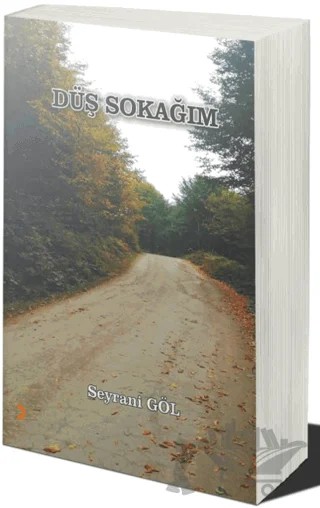 Düş Sokağım – Seyrani Göl – Cinius Yayınları kitap kapağı