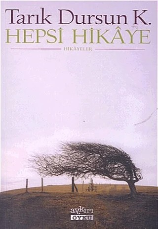 Hepsi Hikaye – Tarık Dursun K. – Aykırı Yayınları kitap kapağı
