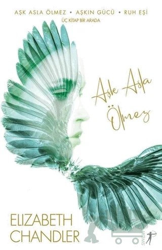 Aşk Asla Ölmez - Aşkın Gücü - Ruh Eşi (3 Kitap) – Elizabeth Chandler – Artemis Yayınları kitap kapağı