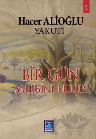 Bir Gün Sahibini Bulur – Hacer Alioğlu – Göl Yayıncılık kitap kapağı