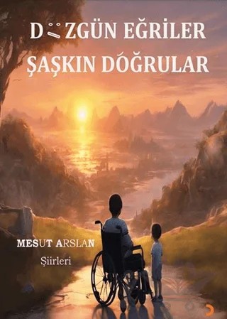 Düzgün Eğriler Şaşkın Doğrular – Mesut Arslan – Cinius Yayınları kitap kapağı
