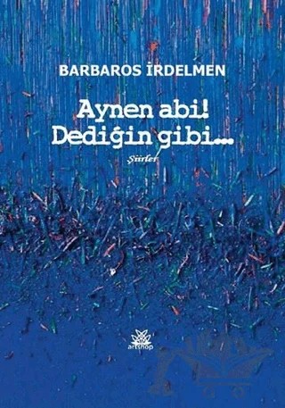 Aynen Abi! Dediğin Gibi – Barbaros İrdelmen – Artshop Yayıncılık kitap kapağı