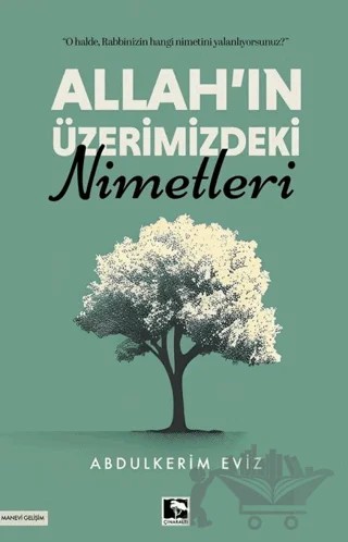 Allah'ın Üzerimizdeki Nimetleri – Abdülkerim Eviz – Çınaraltı Yayınları kitap kapağı
