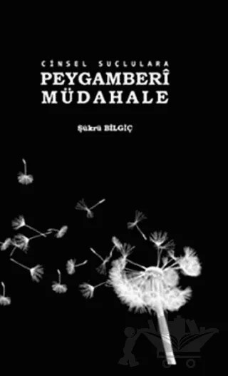 Cinsel Suçlulara Peygamberi Müdahale – Şükrü Bilgiç – İşrak Yayınları kitap kapağı