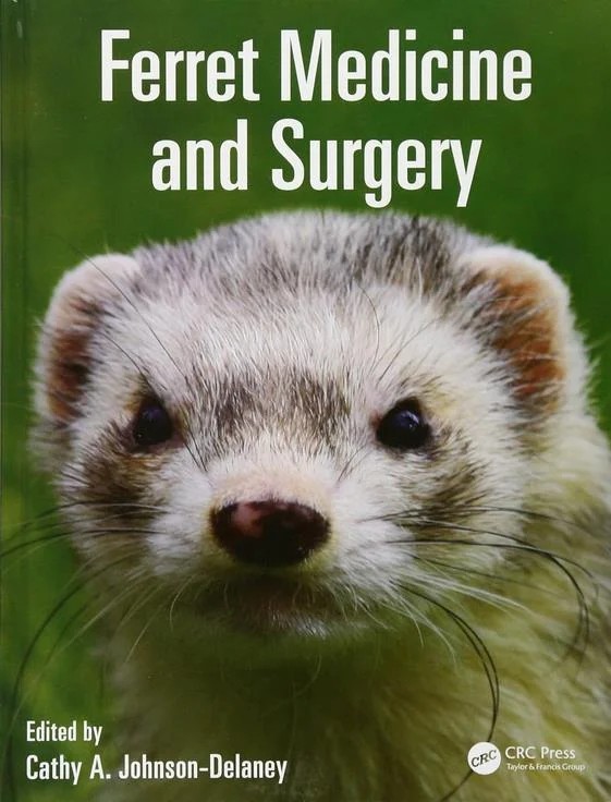 CURRENT Medical Diagnosis and Treatment 2026 – Nobel Tıp Kitabevleri kitap kapağı