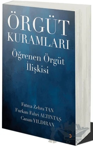 Örgüt Kuramları – Fatma Zehra Tan, Furkan Fahri Altıntaş, Canan Yıldıran – Cinius Yayınları kitap kapağı