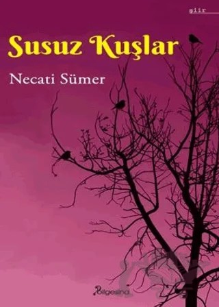 Susuz Kuşlar – Necati Sümer – Bilgesina Yayınları kitap kapağı