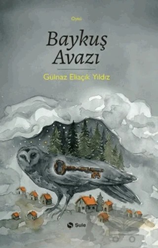 Baykuş Avazı – Gülnaz Eliaçık Yıldız – Şule Yayınları kitap kapağı