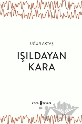 Işıldayan Kara – Uğur Aktaş – Edebi Şeyler kitap kapağı