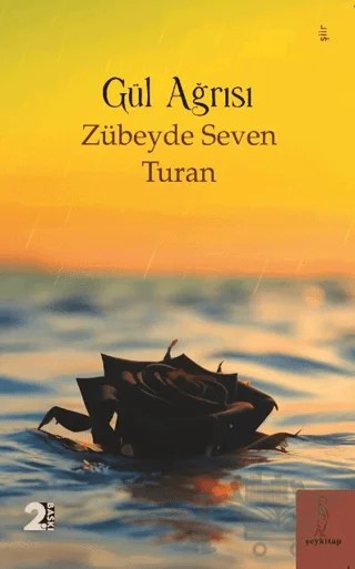 Gül Ağrısı – Zübeyde Seven Turan – Şey Kitap kitap kapağı