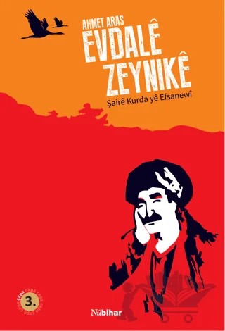 Evdale Zeynike – Ahmet Aras – Nubihar Yayınları kitap kapağı