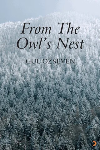 From The Owl’s Nest – Gül Özseven – Cinius Yayınları kitap kapağı