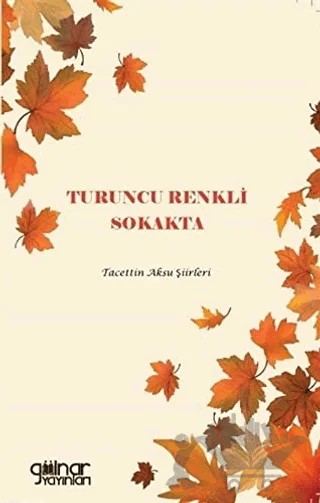 Turuncu Renkli Sokakta – Tacettin Aksu – Gülnar Yayınları kitap kapağı