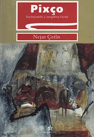 Pixço – Nejat Çetin – Peri Yayınları kitap kapağı
