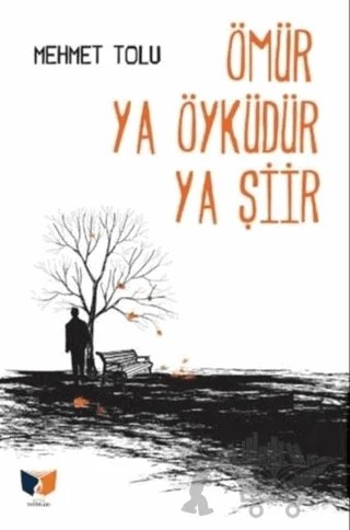 Ömür Ya Öyküdür Ya Şiir – Mehmet Tolu – Ateş Yayınları kitap kapağı