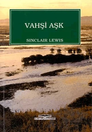 Vahşi Aşk – Sinclair Lewis – Kastaş Yayınları kitap kapağı