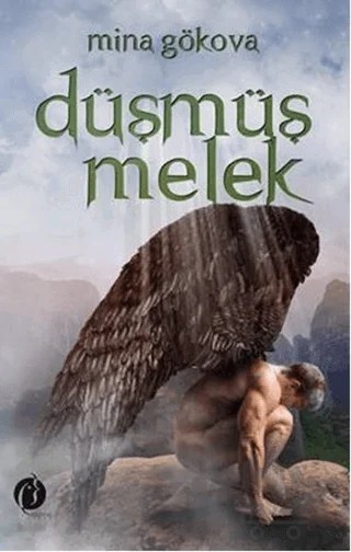 Düşmüş Melek – Mine Gökova – Herdem Kitap kitap kapağı