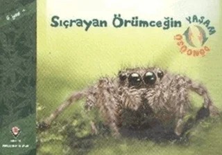 Sıçrayan Örümceğin Yaşam Döngüsü – David M. Schwartz – TÜBİTAK Yayınları kitap kapağı