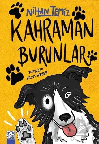 Kahraman Burunlar – Nihan Temiz – Altın Kitaplar kitap kapağı