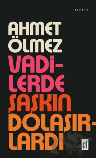 Vadilerde Şaşkın Dolaşırlardı – Ahmet Ölmez – Ketebe Yayınları kitap kapağı