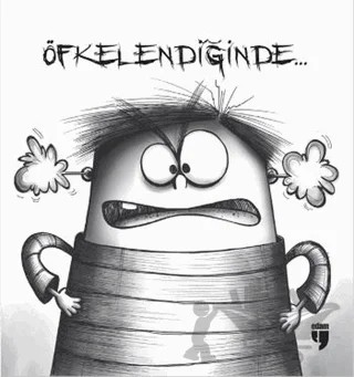 Öfkelendiğinde – Dünyazad es-Sa’di – EDAM kitap kapağı