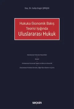 Hukuka Ekonomik Bakış Teorisi IşığındaUluslararası Hukuk – Galip Engin Şimşek – Seçkin Yayıncılık kitap kapağı