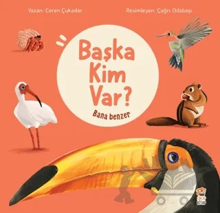Bana Benzer - Başka Kim Var – Ceren Çukadar – Sincap Kitap kitap kapağı