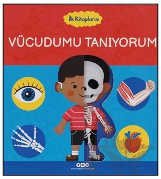 İlk Kitaplarım – Vücudumu Tanıyorum – Kolektif – Yapı Kredi Yayınları kitap kapağı
