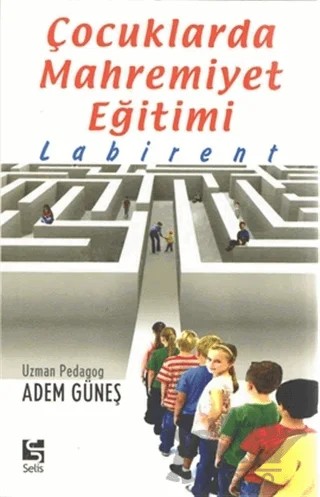 Labirent – Adem Güneş – Selis Kitaplar kitap kapağı