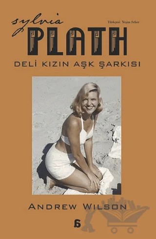 Sylvia Plath - Deli Kızın Aşk Şarkısı – Andrew Wilson – Agora Kitaplığı kitap kapağı
