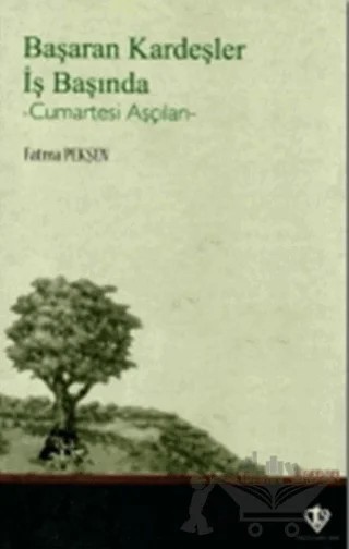 Başaran Kardeşler İş Başında – Fatma Pekşen – Türkiye Diyanet Vakfı Yayınları kitap kapağı
