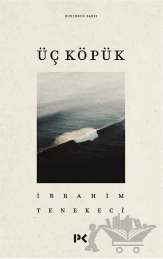 Üç Köpük – İbrahim Tenekeci – Profil Kitap kitap kapağı