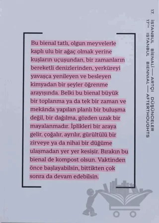 17. İstanbul Bienali - Artçı Düşünceler (Katalog) – Kolektif – Yapı Kredi Yayınları kitap kapağı