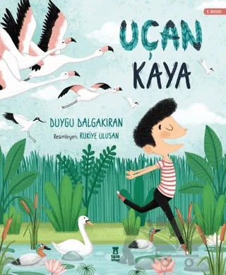 Uçan Kaya – Duygu Dalgakıran – Taze Kitap kitap kapağı