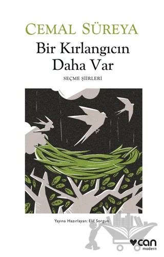 Bir Kırlangıcın Daha Var – Cemal Süreya – Can Yayınları kitap kapağı