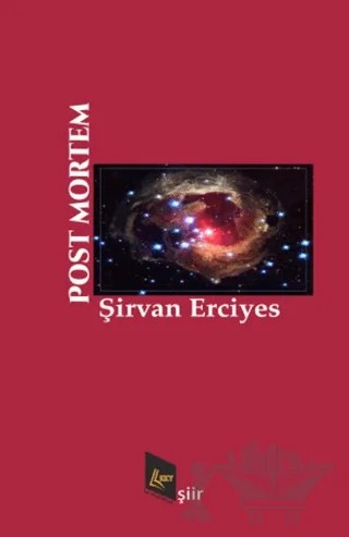 Post Mortem – Şirvan Erciyes – Kayıp Kitaplar Yayınları kitap kapağı